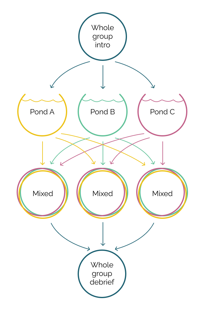 Flow diagram showing the steps of the Swimulation